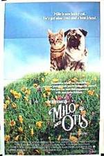 Watch Milo and Otis Vodlocker