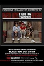 Watch Beastie Boys: Fight for Your Right Revisited Vodlocker