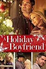 Watch A Holiday Boyfriend Vodlocker