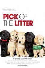 Watch Pick of the Litter Vodlocker
