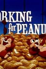Watch Working For Peanuts Vodlocker