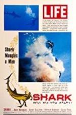 Watch Shark Vodlocker