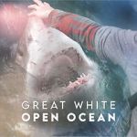Watch Great White Open Ocean Afdah