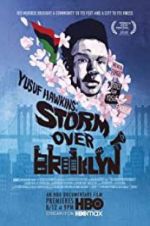 Watch Yusuf Hawkins: Storm Over Brooklyn Online Vodlocker