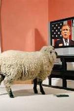 Watch Educating The Sheeple Vodlocker