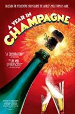 Watch A Year in Champagne Vodlocker
