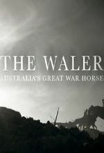 Watch The Waler: Australia\'s Great War Horse Vodlocker