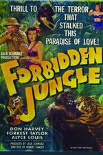 Watch Forbidden Jungle Vodlocker