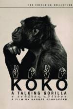 Watch Koko, le gorille qui parle Vodlocker