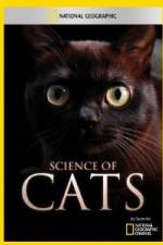 Watch National Geographic Science of Cats Vodlocker