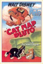 Watch Cat Nap Pluto Vodlocker