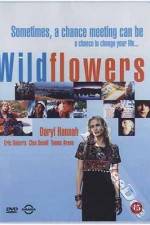 Watch Wildflowers Vodlocker