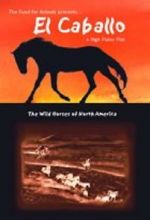 Watch El Caballo: The Wild Horses of North America Vodlocker
