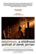 Watch Delphinium: A Childhood Portrait of Derek Jarman Vodlocker