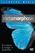 Watch Metamorphosis: The Beauty and Design of Butterflies Vodlocker
