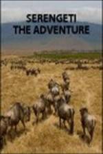 Watch Serengeti: The Adventure Vodlocker