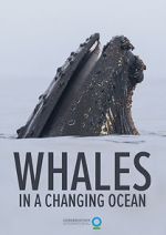 Watch Whales in a Changing Ocean (Short 2021) Online Vodlocker
