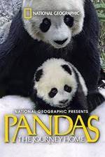 Watch Pandas: The Journey Home Vodlocker
