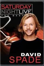 Watch Saturday Night Live The Best of David Spade Online Vodlocker