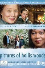 Watch Pictures of Hollis Woods Vodlocker
