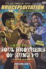 Watch Soul Brothers of Kung Fu Vodlocker
