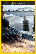 Watch National Geographic Yellowstone Winter Vodlocker
