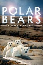 Watch Polar Bears: A Summer Odyssey Vodlocker