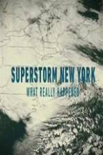 Watch Superstorm New York: What Really Happened Vodlocker