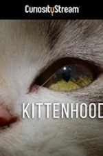 Watch Kittenhood Vodlocker