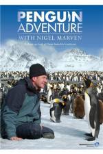 Watch Penguin Adventure With Nigel Marven Vodlocker