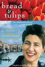 Watch Bread & Tulips Vodlocker