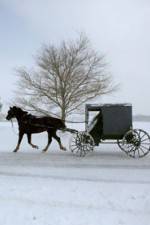 Watch Leaving Amish Paradise Vodlocker