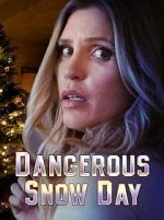Watch Dangerous Snow Day Online Vodlocker