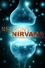 Watch Neurons to Nirvana Vodlocker
