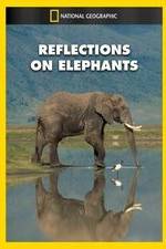 Watch Reflections on Elephants Vodlocker