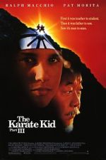 Watch The Karate Kid Part III Vodlocker