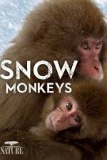 Watch Nature: Snow Monkeys Vodlocker