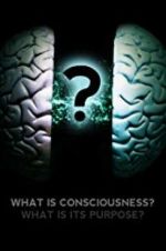 Watch What Is Consciousness? What Is Its Purpose? Vodlocker