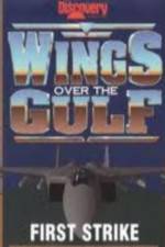 Watch Wings Over the Gulf Vol  1  First Strike Vodlocker