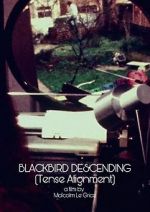 Watch Blackbird Descending Vodlocker