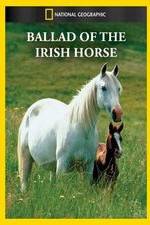 Watch Ballad of the Irish Horse Vodlocker