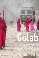 Watch Gulabi Gang Vodlocker
