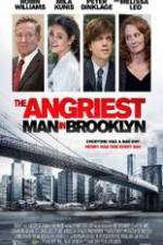 Watch The Angriest Man in Brooklyn Vodlocker