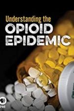 Watch Understanding the Opioid Epidemic Vodlocker