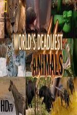 Watch National Geographic - Worlds Deadliest Animal Battles Vodlocker