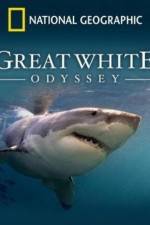 Watch Great White Odyssey Vodlocker