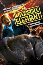 Watch The Incredible Elephant Vodlocker