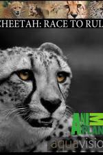 Watch Cheetah: Race to Rule Vodlocker