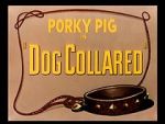 Watch Dog Collared (Short 1950) Vodlocker