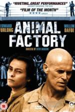 Watch Animal Factory Vodlocker